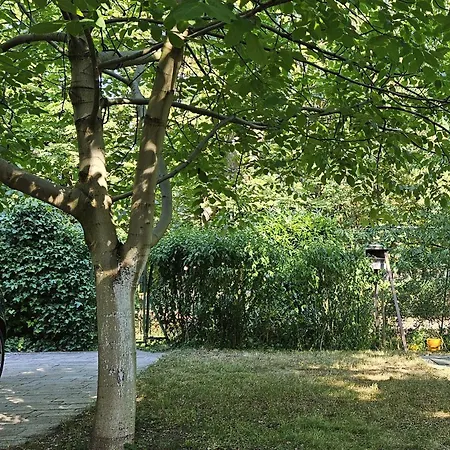 Gyöngyi Homestay szállás